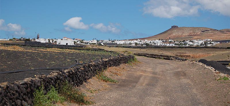Camino Natural de Órzola a Playa Blanca. Etapa 3: Teguise - San Bartolomé