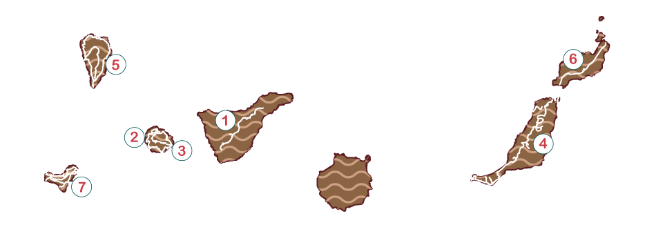 Sector canario