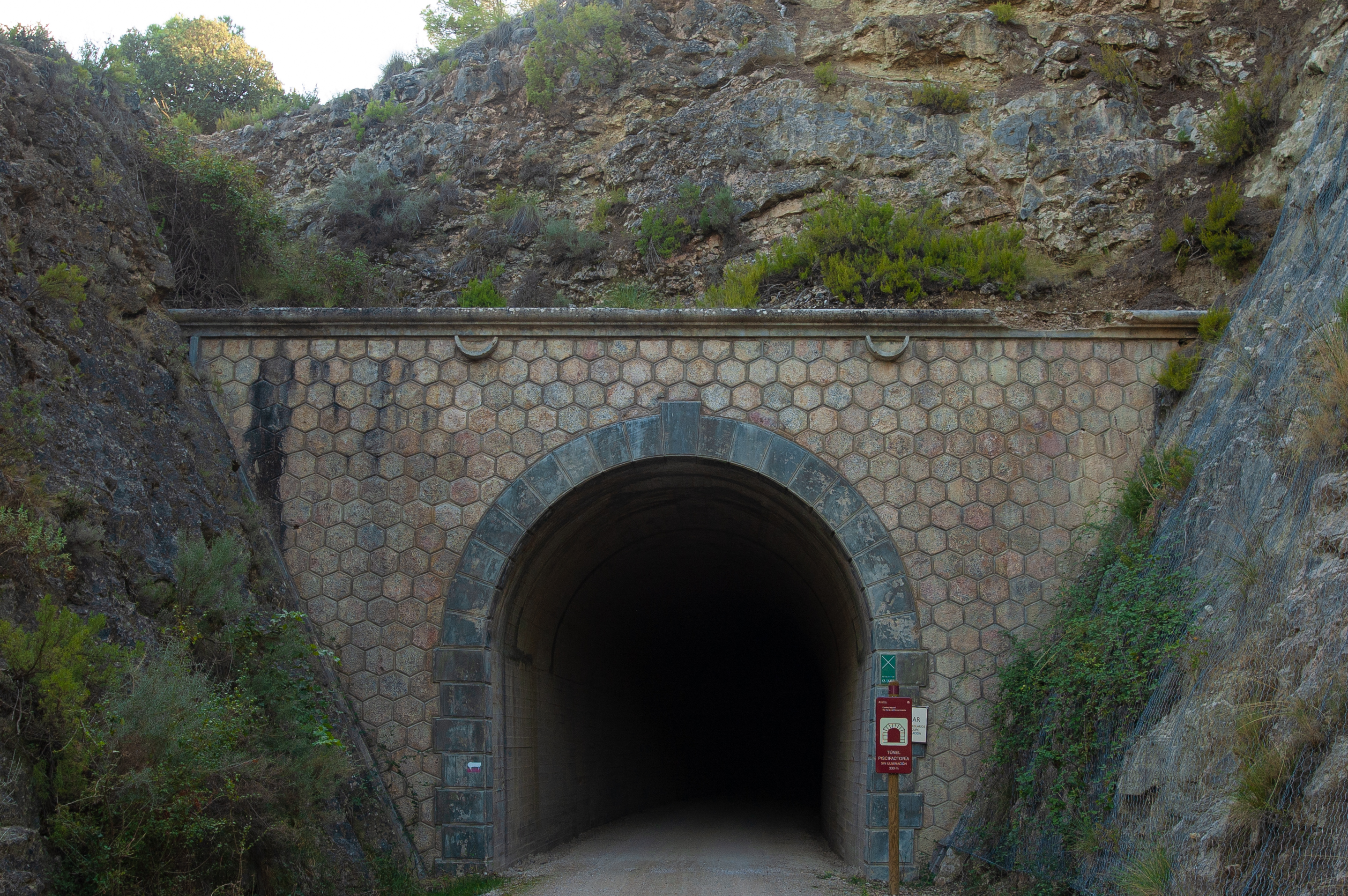 El Túnel 6 Piscifactoría