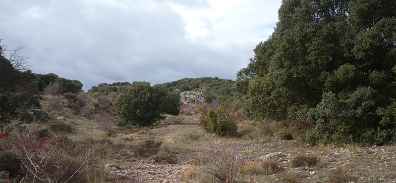 Camino Natural del Agua Soriano. Camino Antonino. Etapa 2: Arancón - Masegoso