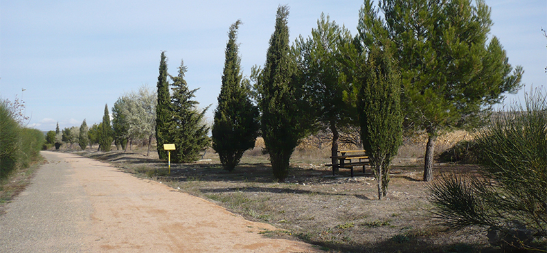 Camino Natural del Agua Soriano. Camino Antonino. Etapa 6: Tarazona - Tudela