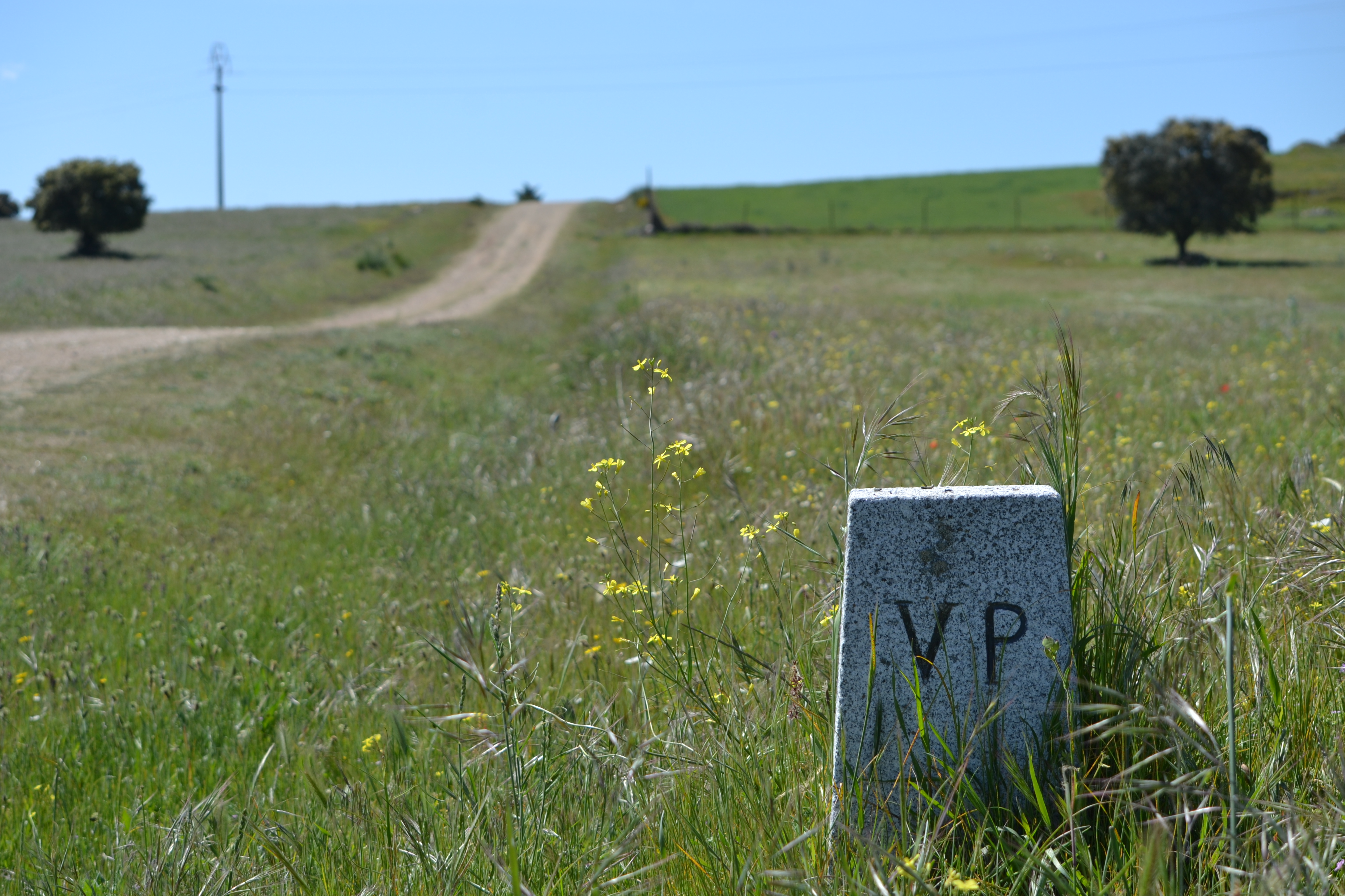 Cañada Real Soriana Occidental