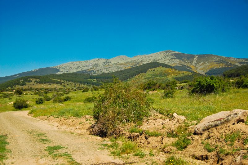 Peña el Oso