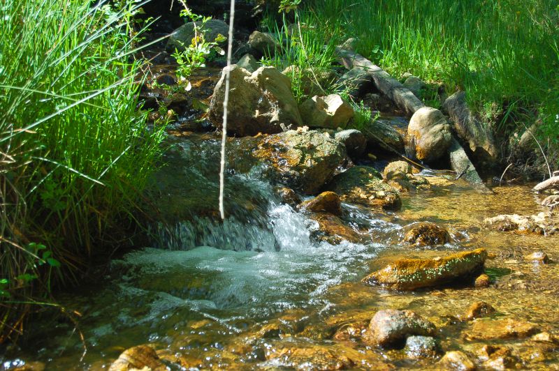 Arroyo de las Víboras