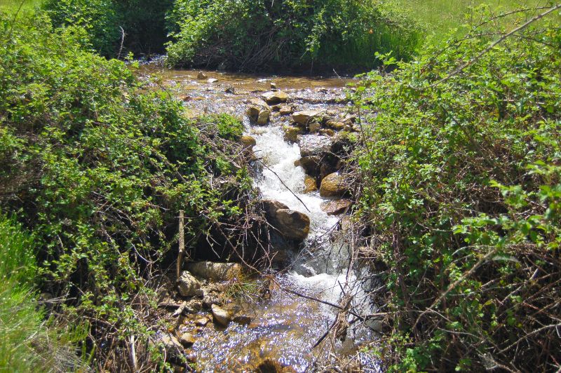 Río Peces