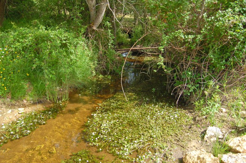 Arroyo de las Fuentecillas