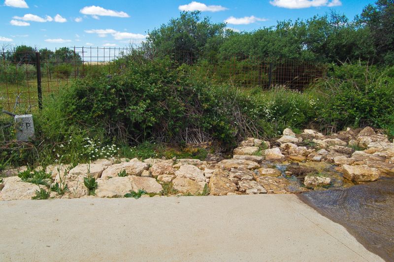 Arroyo de Miguel Bueno