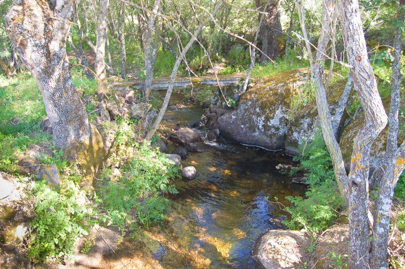 Arroyo de Sotosalbos