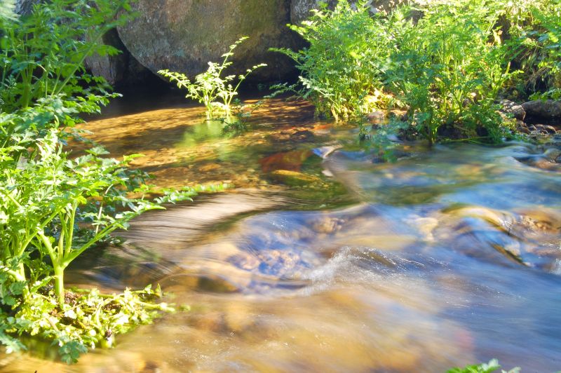 Río Viejo