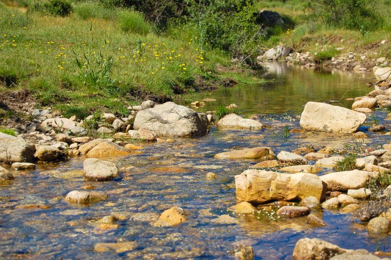 Arroyo de Peña Lobanto