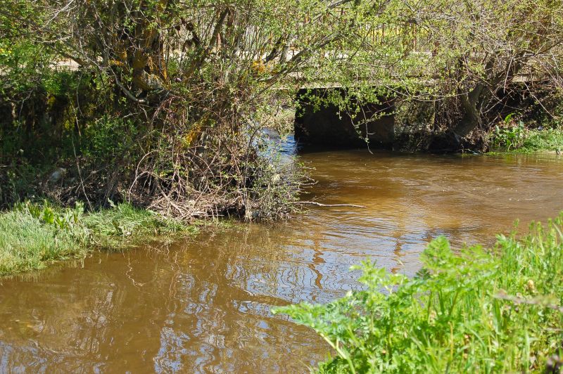 Arroyo de la Soledad