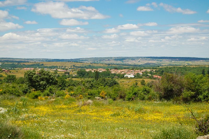 Ceguilla