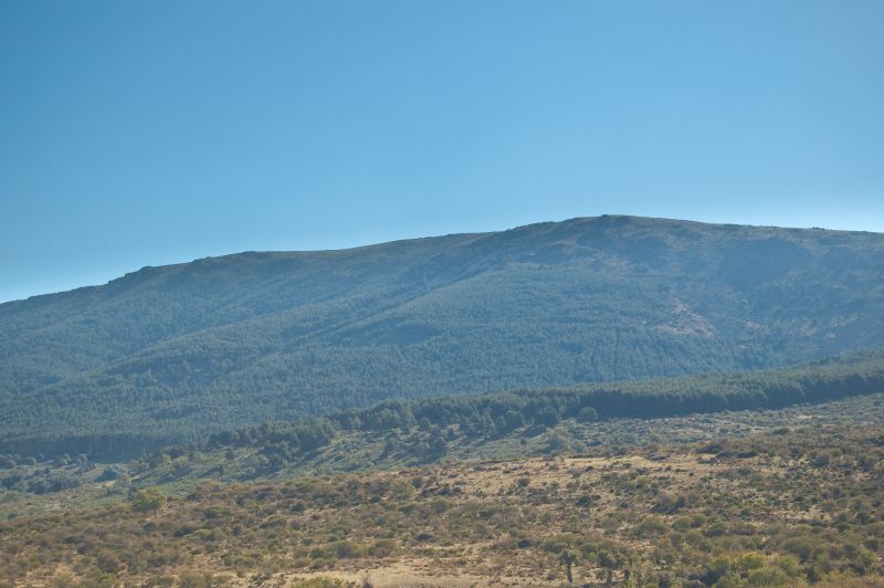 La Peñota