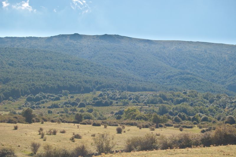 Las Berrocosas