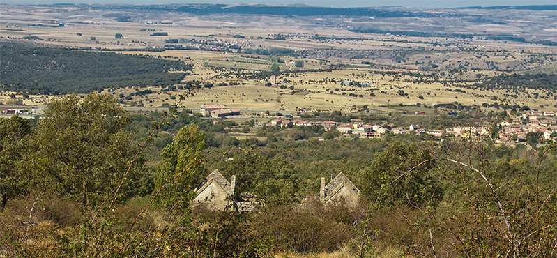 Camino Natural del a Cañada Real Soriana Occidental. Etapa 6: Arcones - Villarejo