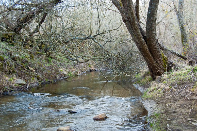 Río Duratón