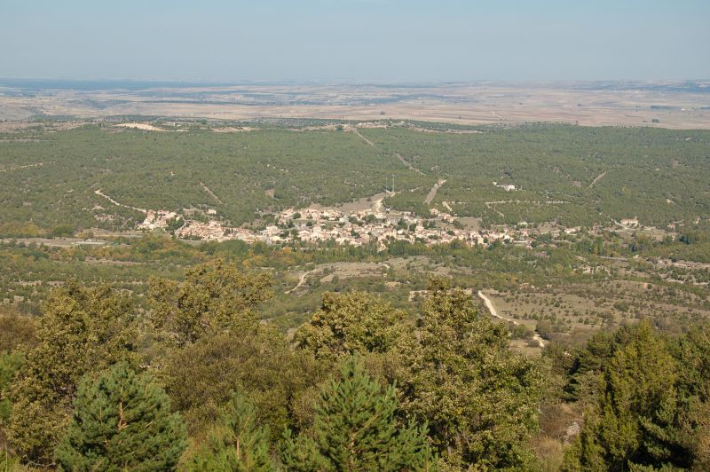 Casla