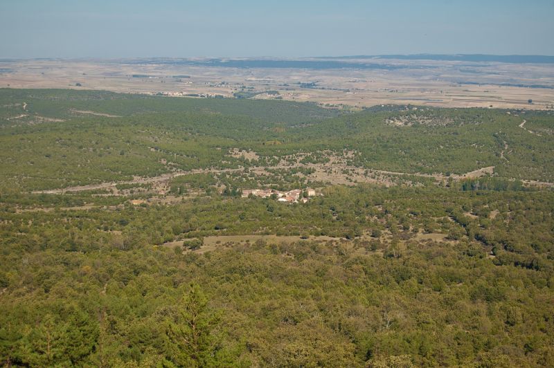 Sigueruelo