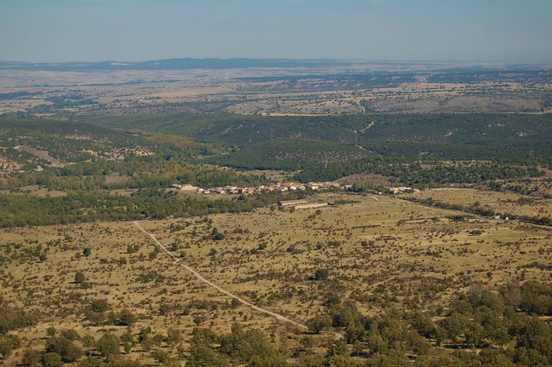 Siguero