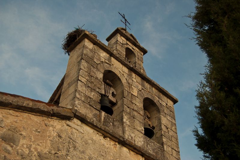Sigueruelo
