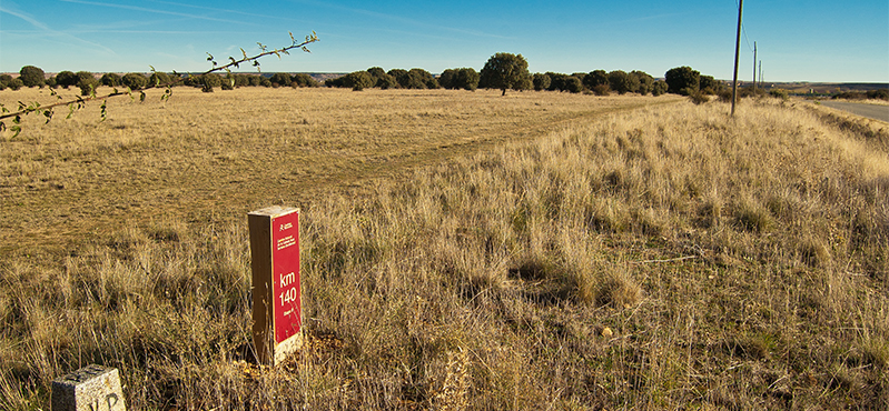 Camino Natural del a Cañada Real Soriana Occidental. Etapa 8: Riaza - Ayllón