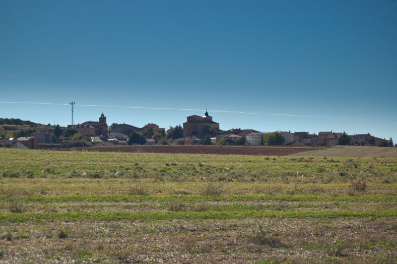 Fresno de Cantespino