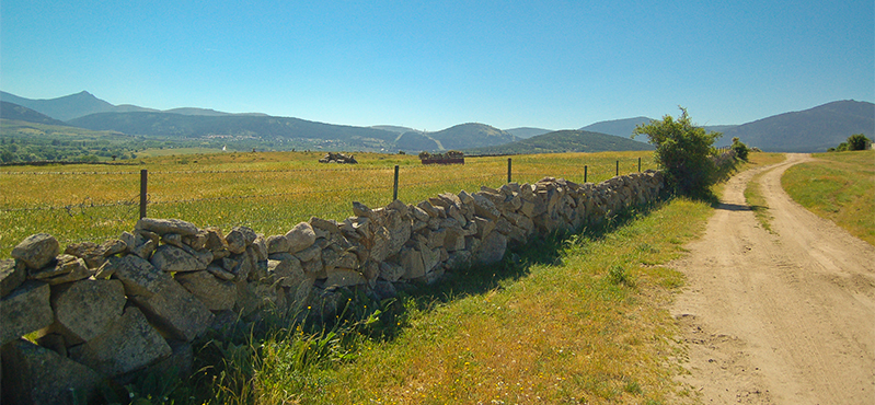 Camino Natural del a Cañada Real Soriana Occidental. Etapa 1: El Espinar - Otero de Herreros