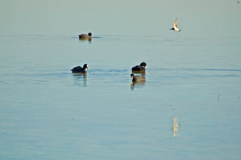 Laguna Grande de Villafranca de los Caballeros