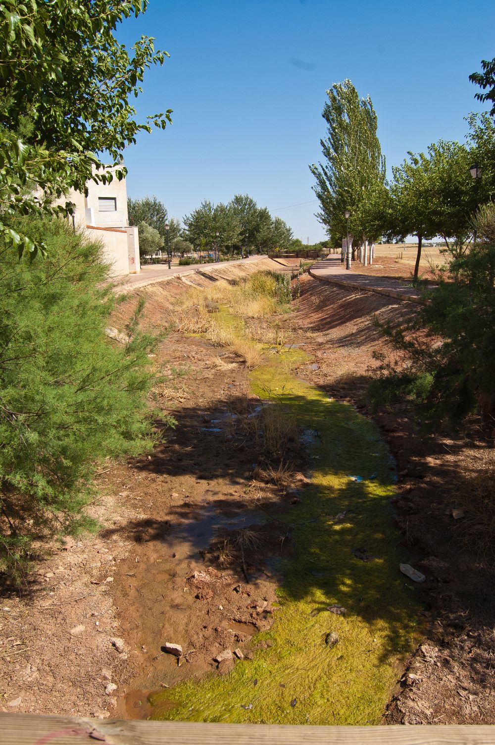 Arroyo de la Serna