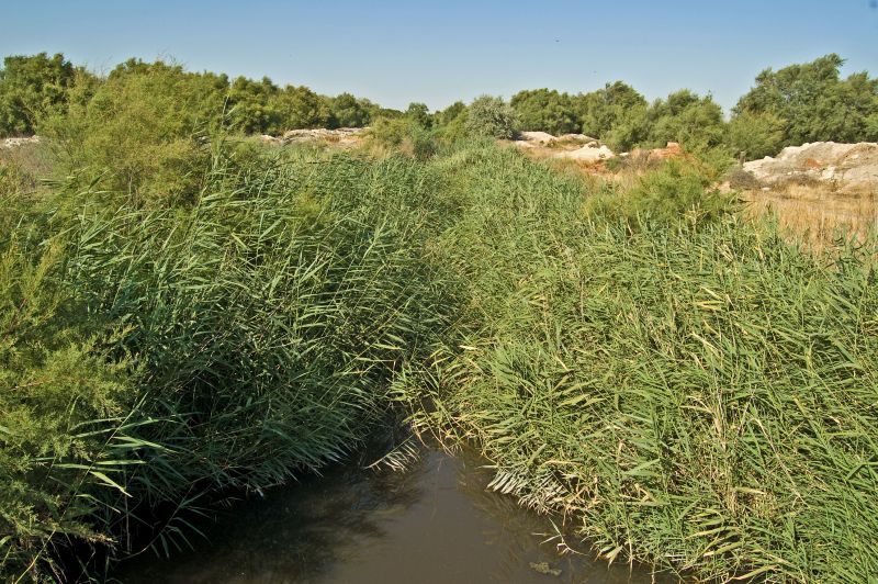 Canal de Desagüe de la Depuradora