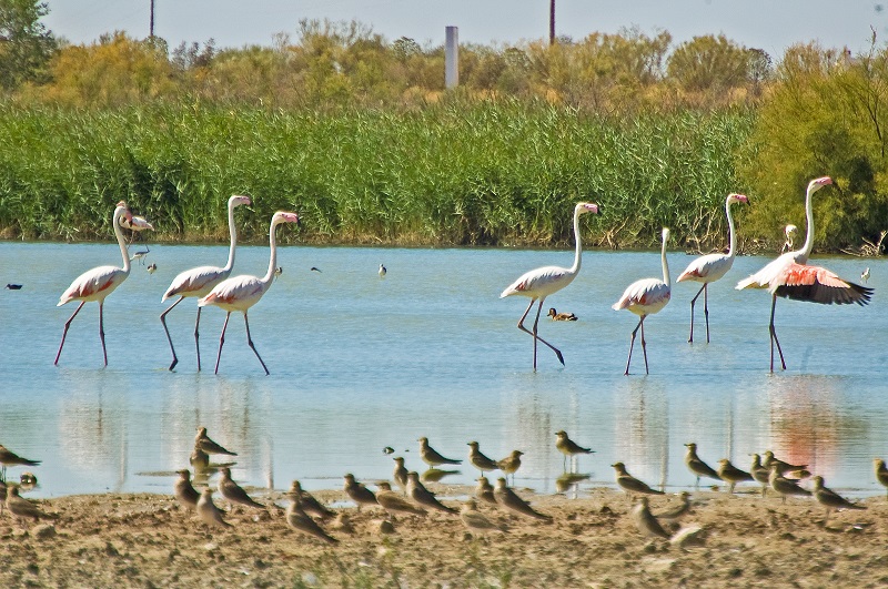 Laguna de la Veguilla