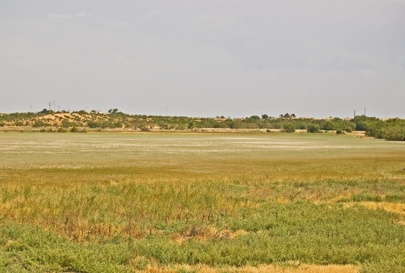 Laguna del Pueblo