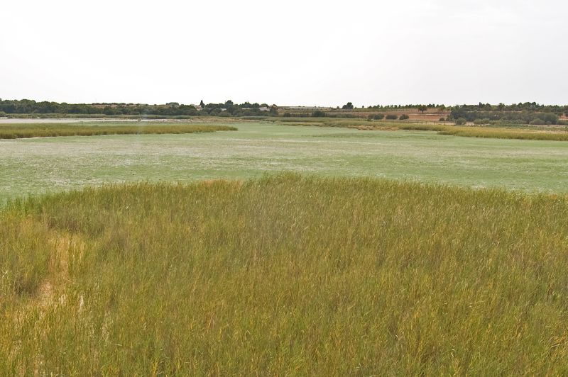 Laguna del Pueblo