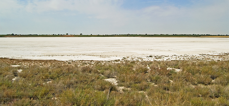 Camino Natural de los Humedales de La Mancha. Etapa 5: Pedro Muñoz – Las Mesas
