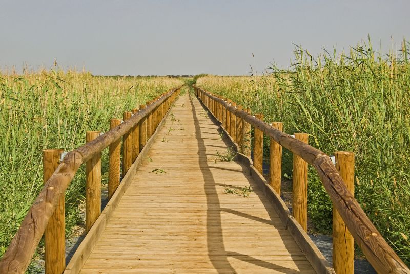 Laguna de Manjavacas