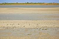 Laguna de Manjavacas