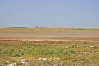 Laguna de la Dehesilla