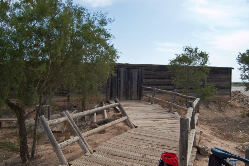 Observatorio de aves