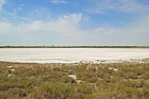 Laguna de Alcahozo