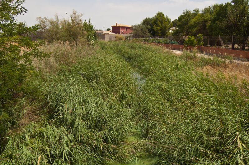 Río del Taray