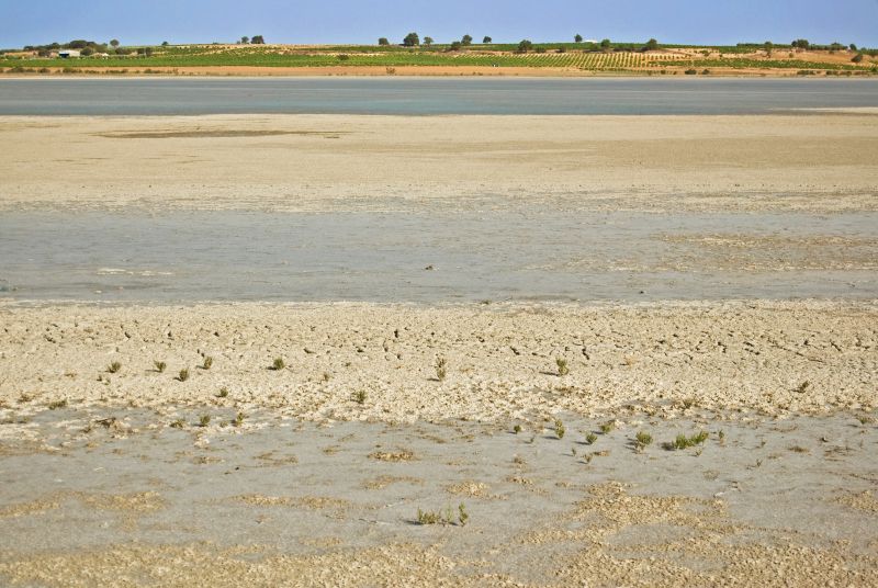 Laguna de Manjavacas