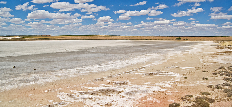 Camino Natural de los Humedales de La Mancha. Etapa 1: Villacañas – Quero