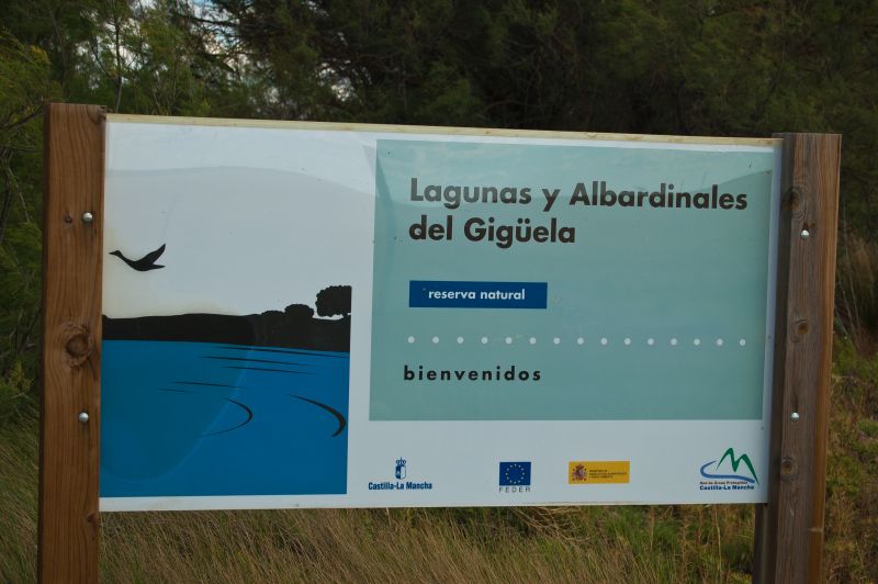Lagunas y Albardinales del Gigüela