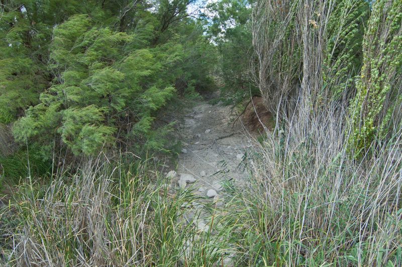 Río Gigüela