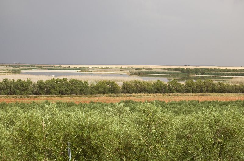 Laguna del Taray