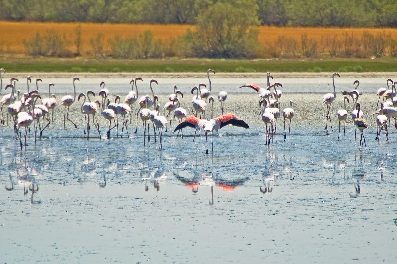Laguna Larga