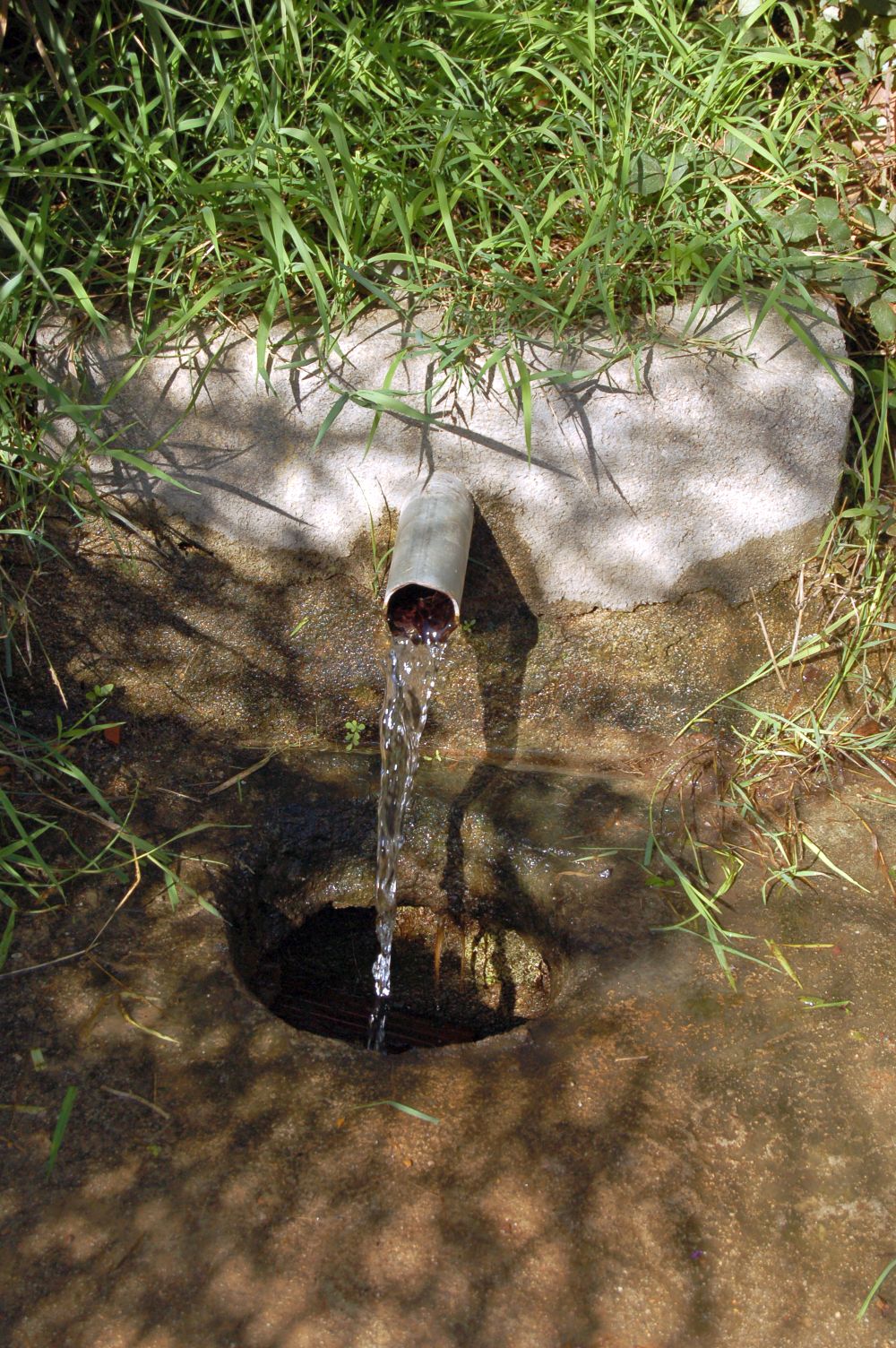 Fuente Lozana