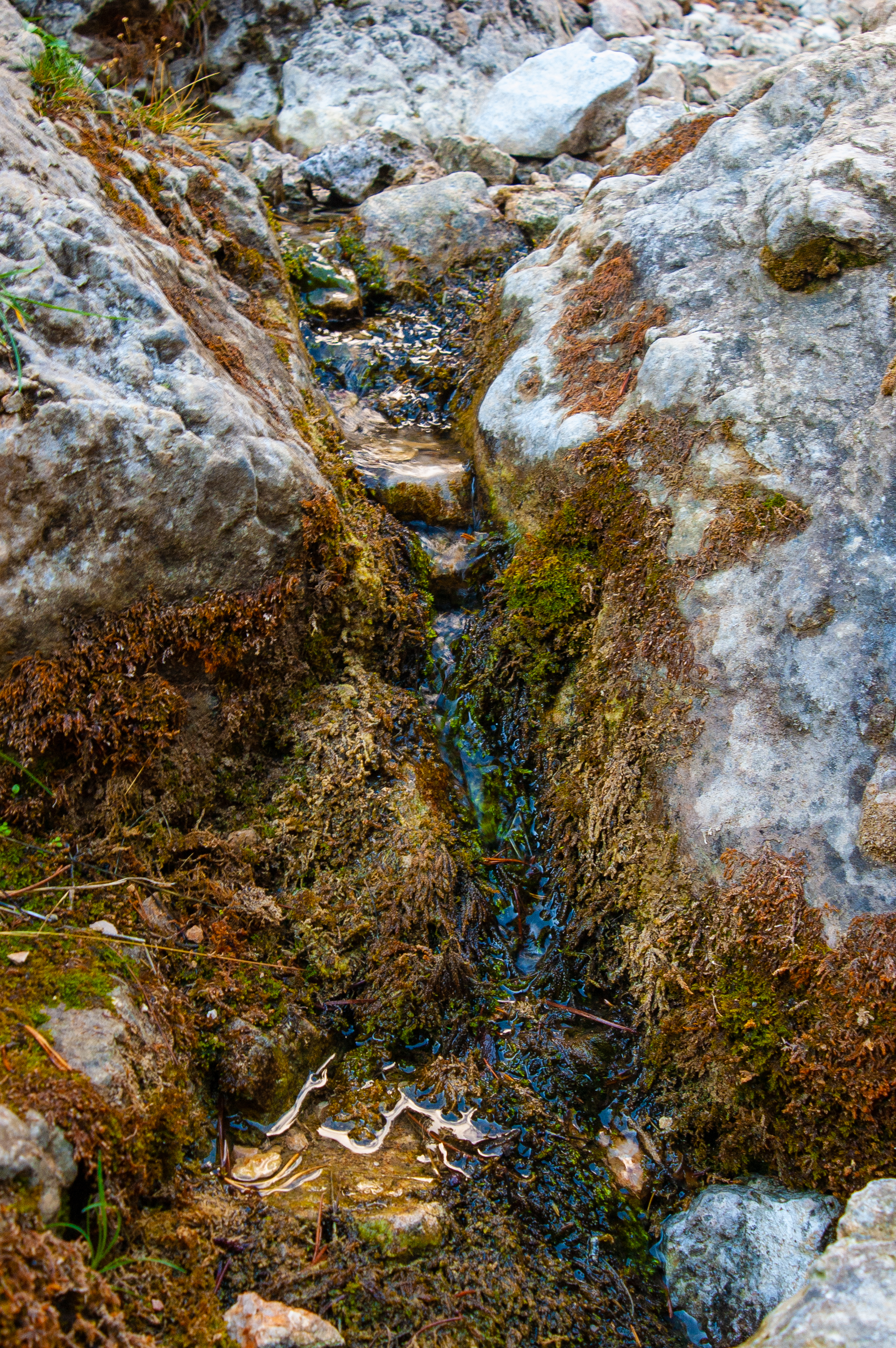 Nacimiento del Río Júcar 