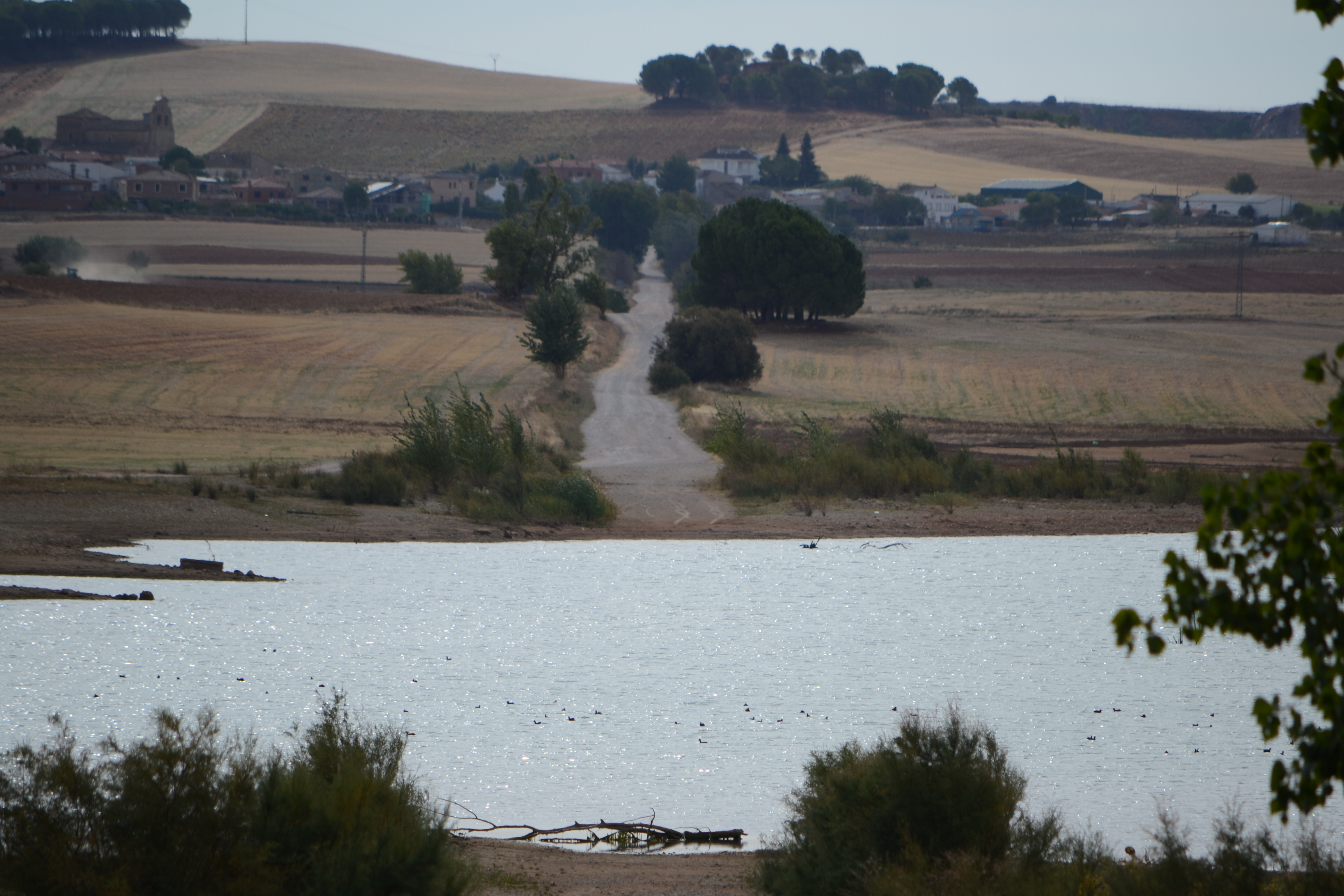 Río Gritos Río Gritos