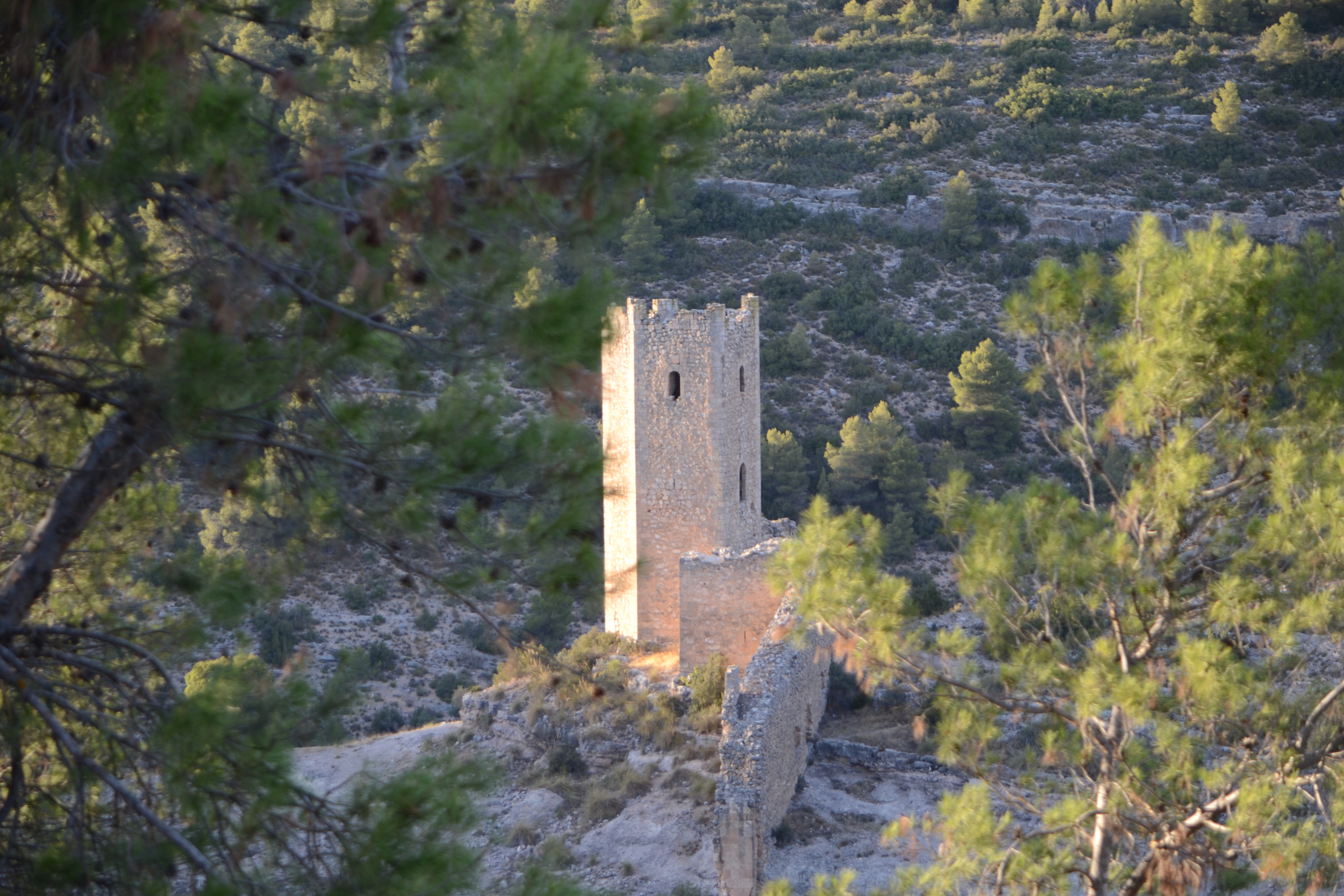 Torre del Cañavate 
